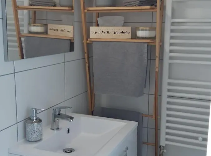 Cosy T2 31m2 - Centre-ville - Gare Et Darcy * Dijon