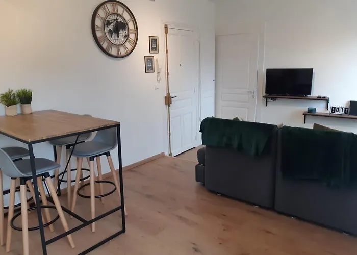 Cosy T2 31m2 - Centre-ville - Gare Et Darcy Apartman Dijon